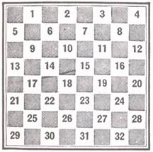 checker1